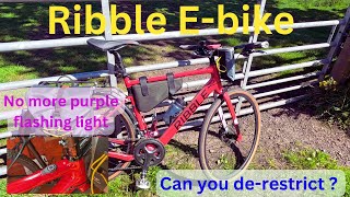 Can you derestrict a Ribble ebike  purple fault light gone [upl. by Hazeefah]