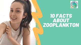 10 Zooplankton Facts [upl. by Jocko]