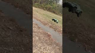 Traxxas Maxx Slash 6S vs rccar arrma [upl. by Eihctir]