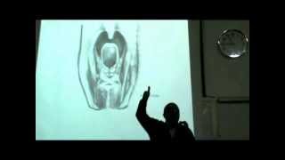 Dr Sherif Glal Neck 14  muscles of pharynx part 2 [upl. by Sclar967]