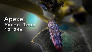 Apexel 12  24 x Macro lens Review  Video  Photo [upl. by Galateah]