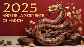 2025 🐍 Año de la Serpiente de Madera ¿Será Este Tu Año de Suerte 🍀 [upl. by Jo-Ann]