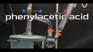 NAGAI SYNTHESISHOW TO MAKE PHENYLACETIC ACID [upl. by Xam378]