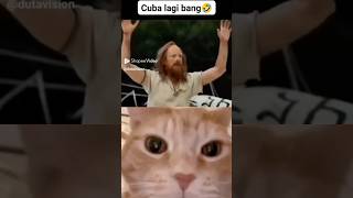 HELP HELO 🤣 abufarishstory funny cat catreact memes [upl. by Ayotel466]