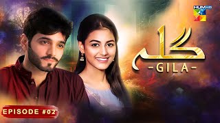 Gila Episode 02  Wahaj Ali  Anzela Abbasi  Best Pakistani Serial  HUM TV [upl. by Eecyaj]