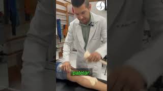 CONDROMALACIA PATELAR  DOR ANTERIOR NO JOELHO shortsvideo [upl. by Kwarteng]