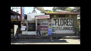 Flores little Jamaica [upl. by Houston]