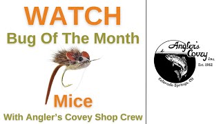 Bug of the Month  Mice flyfishing [upl. by Llemart497]