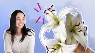 How to Make a White Asiatic Sugar Lily  Mothers Day Cake with Sugar Flowers  Part 2 [upl. by Ahsemrak]