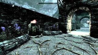 Elder Scrolls V Skyrim Walkthrough in 1080p Part 118 Fun in Shalidors Maze PC Gameplay [upl. by Tseng309]