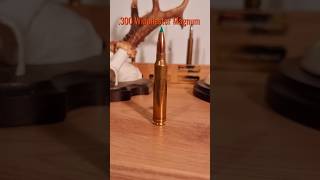 300 Winchester Magnum jagd hunting kaliber Sport militär großwild outdoor longrange [upl. by Tombaugh839]