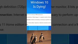 Windows 10 user time to switch to linux linux windows windowsvslinux [upl. by Tandie]