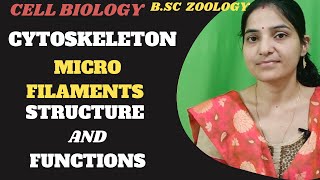 Cytoskeleton Structure and function microfilament Bsc 1st yearcytoskeletonmicrofilamentgnb [upl. by Marissa]