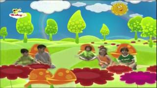 Mi Jardín  BabyTV Español [upl. by Aneekal]