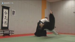 Aikido  Gyaku Hanmi Katate Dori Irimi Nage [upl. by Won]