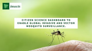 Citizen science dashboard to enable global invasive and vector mosquito surveillance [upl. by Edwards584]