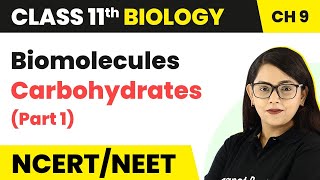 Carbohydrates Part 1 Class 11 Biology  Biomolecules Carbohydrates  Class 11 Biology [upl. by Cristionna]