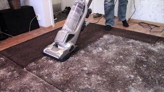 Big Mess Test Electrolux Precision  Brushroll Clean Demo [upl. by Jerad]