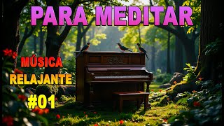 🎶 Música de Piano Relajante para Trabajar y Meditar🍃 aves musica relajante meditation piano [upl. by Haididej460]