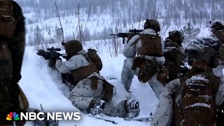 An exclusive look at US Marines training in the Arctic [upl. by Freed844]