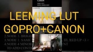 Matching GoPro and Canon footages with Leeming LUT for GoPro 7 Black amp Leeming LUT for Canon EOS [upl. by Jud]