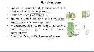 Plant Kingdom Pteridophytes Part 4 SATHEEMED swayamprabha medicalentranceexam [upl. by Ardel]