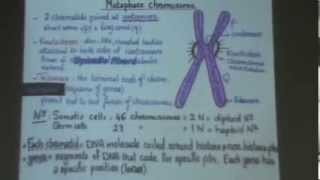 4 DrGihan Cytogenetics 16112013 [upl. by Milak]