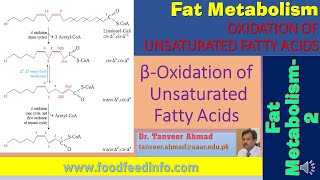 Fat MetabolismBeta Oxidation of Unsaturated Fatty AcidsLecture Series in Animal SciencesNutrition [upl. by Ydniahs]