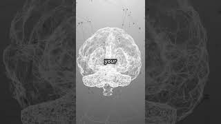 Are we really only using 10 of our brain The truth might shock you [upl. by Iur]