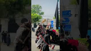 Mashallah mast ali badshah duty 8 Rabi ul Awal 2024 Karbala Ghama Shah Lahore [upl. by Ettenuj399]