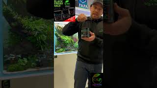 Aquascaping Aquarium Black Week aquascape aquarium aquaristik aquaowner aquascaping ada [upl. by Sadira]