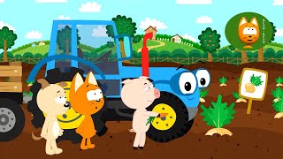 Veggies  Meow Meow Kitty  song for kids [upl. by Dressel308]