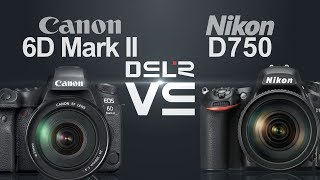 Canon EOS 6D Mark II vs Nikon D750 [upl. by Pittel]