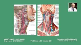 Ecocolordoppler dei tronchi sovraaortici [upl. by Lattonia]