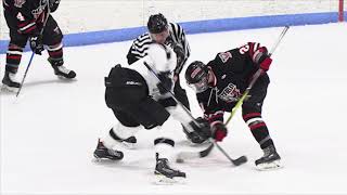 Westfield vs Longmeadow Hockey [upl. by Aynuat]