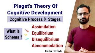 Piaget Cognitive Development Theory  Piaget Stages of Development  CTET 2024  CDP [upl. by Serena]