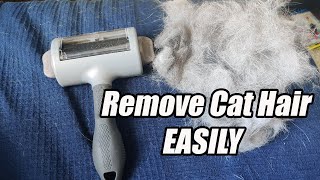 How to Remove Cat hair from Furniture  Furminator Hair Collection Tool Roller [upl. by Kcirdahs]