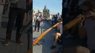 Traditional music of Praguesobysadventures travelvlogshortfeed praguetrip Charlesbridge [upl. by Lenna843]