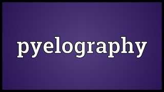 Pyelography Meaning [upl. by Ruvolo]