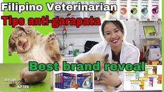 GAMOT PAMATAY GARAPATA  TICKS and FLEAS PREVENTION FOR DOGS  DR MJ [upl. by Annaert]