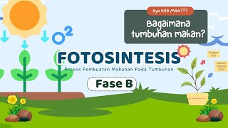 Bagaimana Tumbuhan Makan  Fotosistensis Kelas 4 Kurikulum Merdeka [upl. by Zampardi]