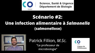 Scénario 2 Une infection alimentaire de type salmonellose [upl. by Nylorak]