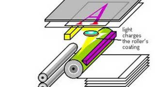 How Photocopiers Work [upl. by Quick]