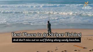 Striper Fishing How to Catch Striped Bass from Shore [upl. by Laresa]