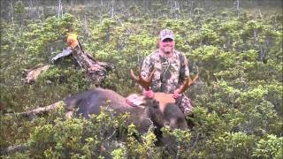 HIDEAWAY LODGE Newfoundland Moose Hunting Outfitters [upl. by Adalard]