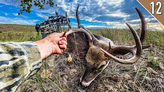 PUBLIC LAND BUCK DOWN THP Viewer Helps Me Drag Deer Out [upl. by Akaenahs205]