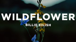 Billie Eilish  WILDFLOWER Lyrics [upl. by Ahsehat799]