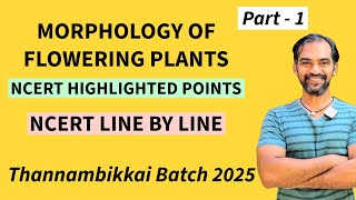 Morphology of Flowering Plants in Tamil  NCERT Highlighted points  TB 2025 [upl. by Artinak]