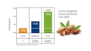 AVERAGE YIELD INCREASE OF 24 ON ALMONDS IN CALIFORNIA [upl. by Varney145]