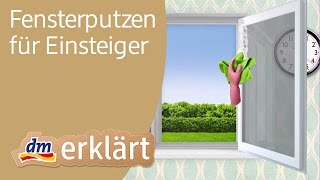 dm erklärt Haushalt für Einsteiger  Fenster putzen [upl. by Yhtomot]